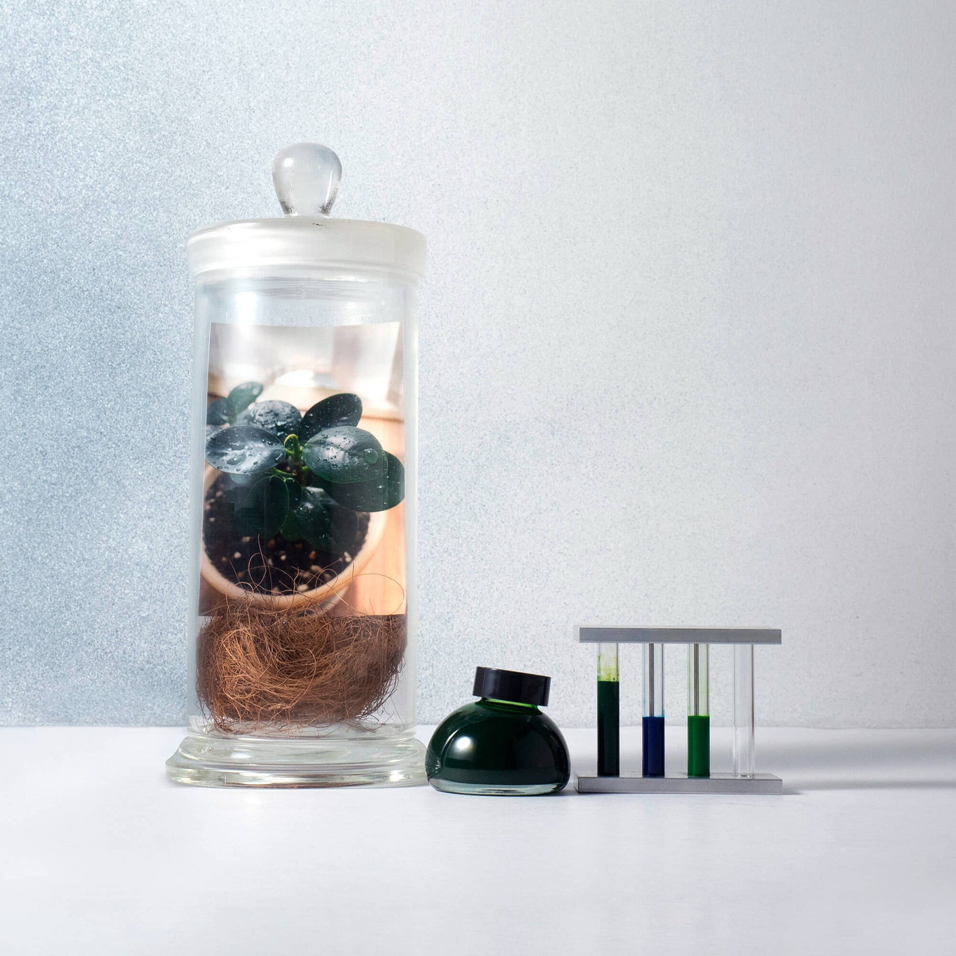 Kakimori Pigment Ink - Colour Specimen 180 - Life lifestyle