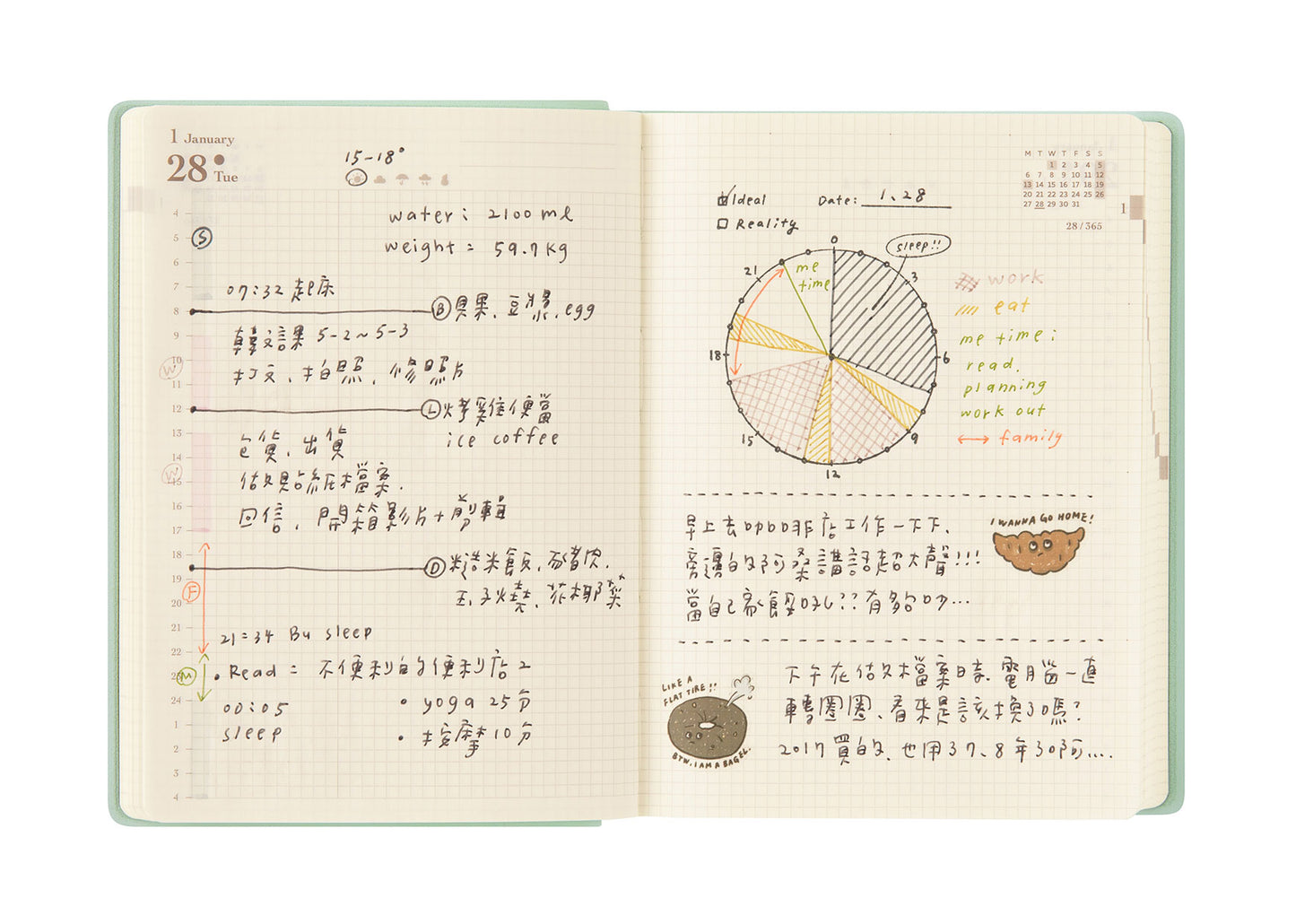 Midori Hibino Diary 2026 2-Page-Per-Day Calendar - A6 - Blue Green Tomoe River - Made in Japan example