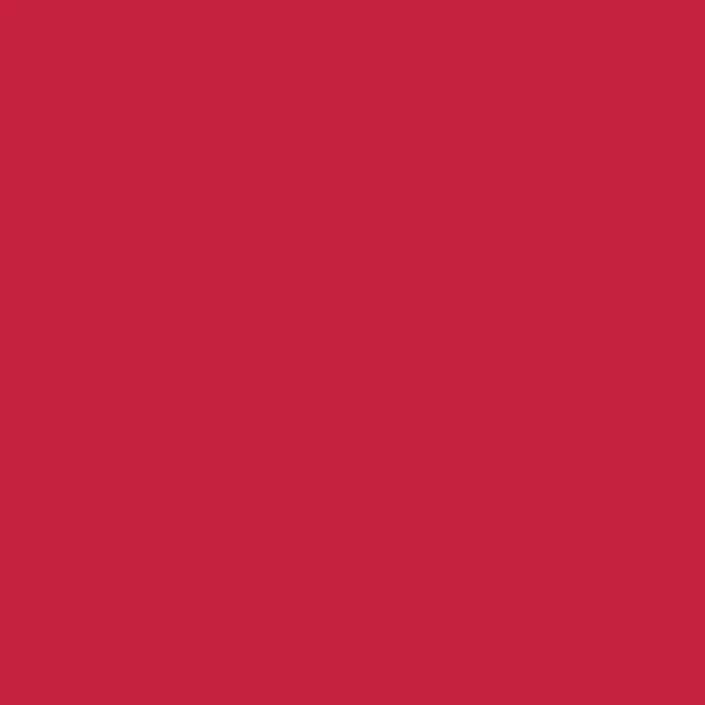 Octopus Fluids Fountain Pen Document Ink - 30 ml Bottle - Red -  Made in Germany red swatch