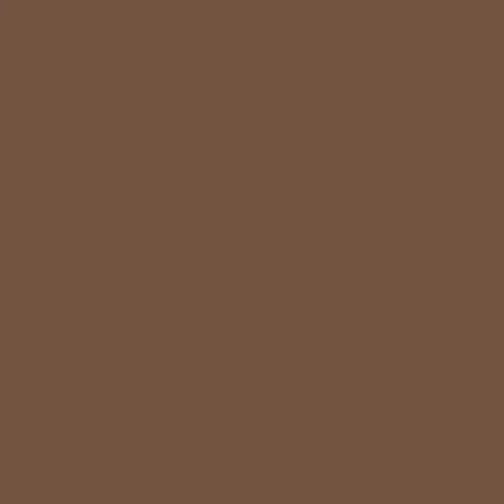 A solid, uniform color swatch in a medium warm brown tone. Octopus Fluids Fountain Pen Document Ink - 30 ml Bottle - Brown -  Made in Germany