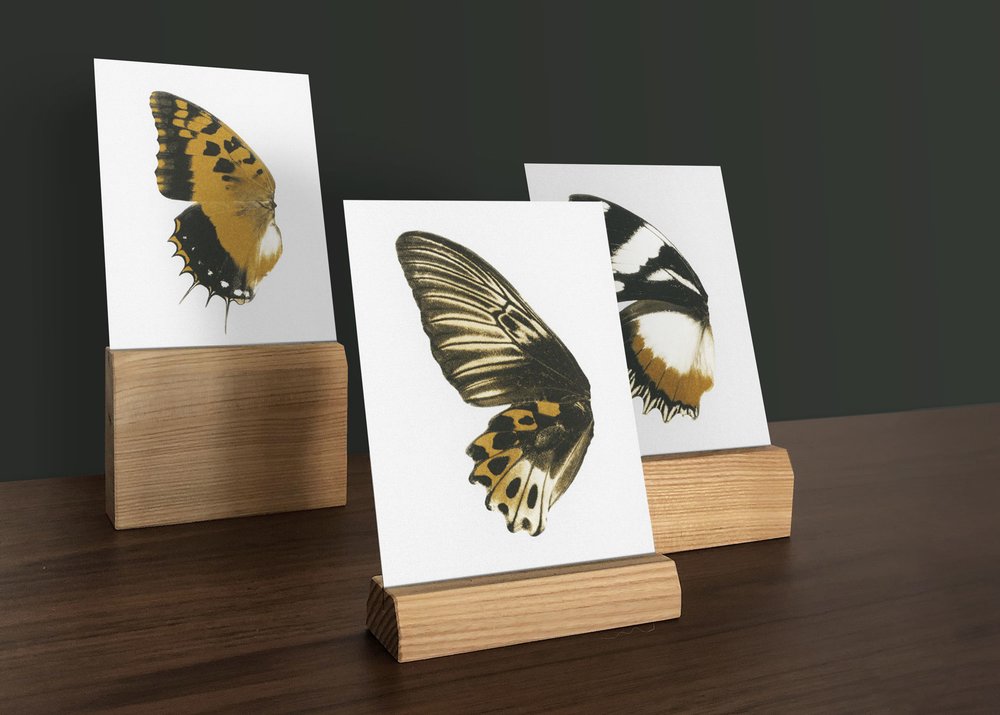 Wood Card Holder